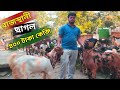      jsk goat farm  west bengal goat farmgoat farming business