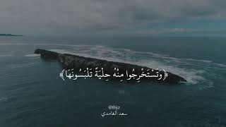 آيات الله في البحر | سعد الغامدي