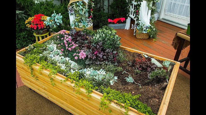 Tapestry Gardens with Shirley Bovshow - Home & Fam...