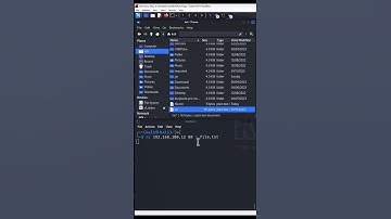 如何使用netcat快速传输文件 #黑客 #leocybsec #linux
