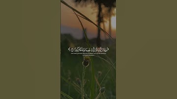 عينا فيها تسمى سلسبيلا محمد الحيدان-سورة الإنسان #رحيق_الايمان #اكسبلور #quran #لايك #المصحف