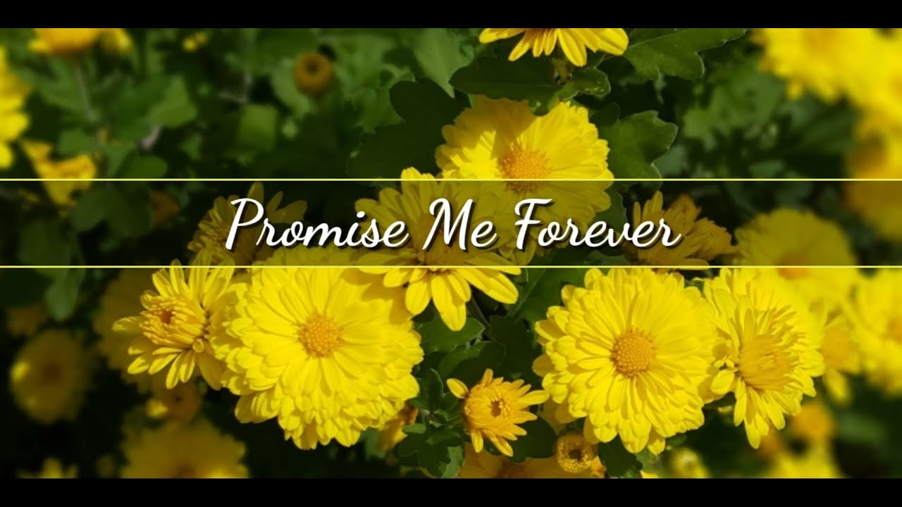 PROMISE ME FOREVER by Nebblett Family