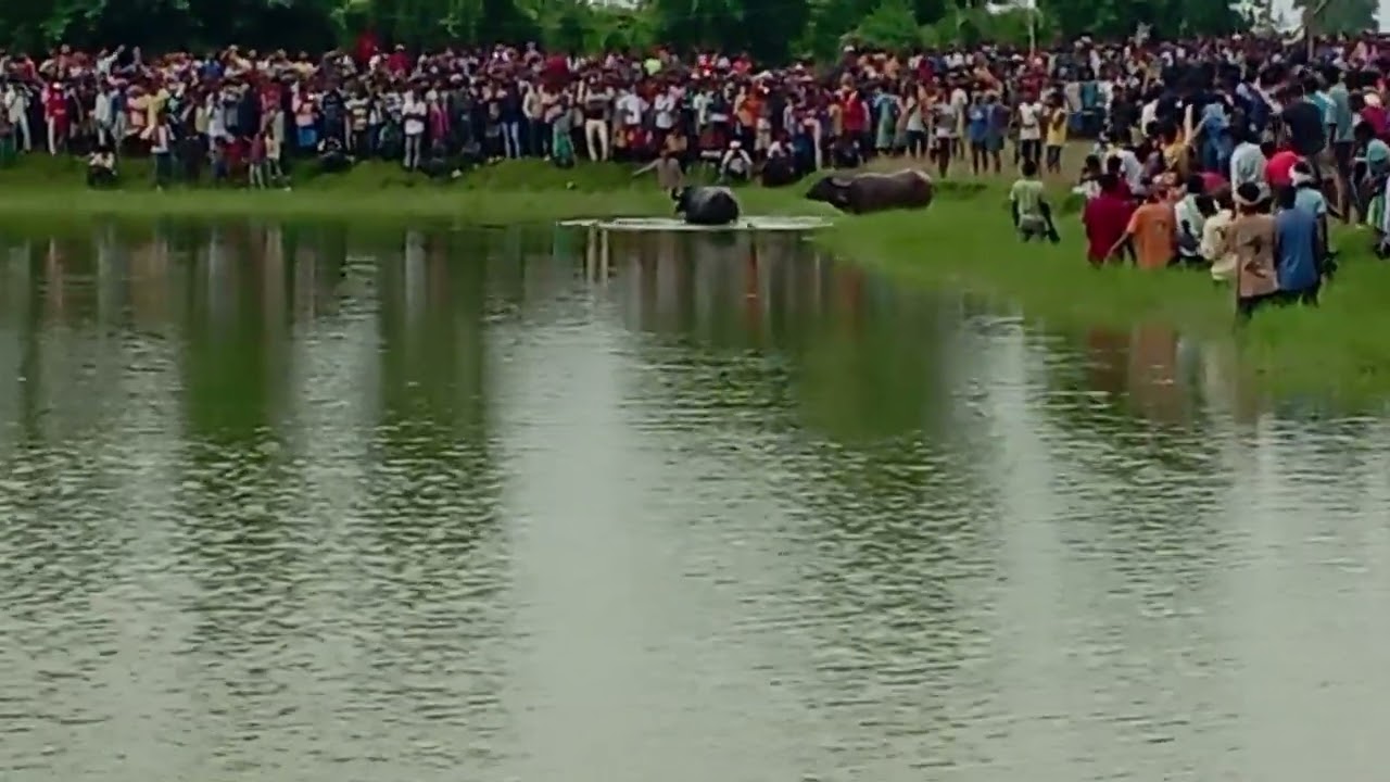 Bayar ropok Rakshabandhan VS kokrtola,/ At kokrotola 2025🐃🐃💯