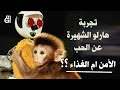 سلسلة تجارب نفسية صادمة قرد هارلو تجربة علمية عن الحب و العاطفة والحرمان من الأم 