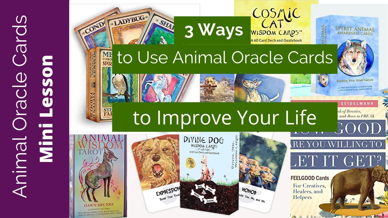 3 Ways To Use Oracle Cards To Improve Your Life The 3rd One Is My 