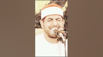 من أفراح أبو قرقاص القارئ المهندس محمد عزيز المنياوي