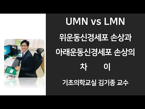 UMN 손상과 LMN 손상의 차이, 위운동신경세포, 아래운동신경세포, 신경과학, 신경해부학