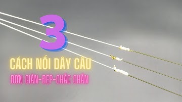 3 Cách nối dây câu cá bị đứt | Hướng dẫn nối dây câu cá đẹp đơn giản chắc chắn không bị tuột |Quatra