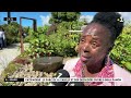 Inauguration du Parc de la Vanille et des Orchidées à Bras-Panon