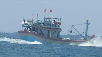 Ghe lưới vây Bình Định tăng tốc ra khơi đánh bắt cá ngừ đù