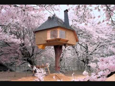 Case strane nel mondo/strange houses in the world youtube Tipi di case