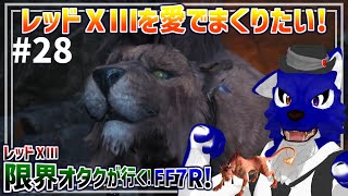 【 FF7 REBIRTH ※ネタバレ注意 】レッドⅩⅢ限界オタクが行く！コスモキャニオンのその先へ…脳筋オオカミのﾘﾊﾞｰｽ調査その28【 #ケモノVtuber 】