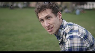 A short introduction to NEWTON-g