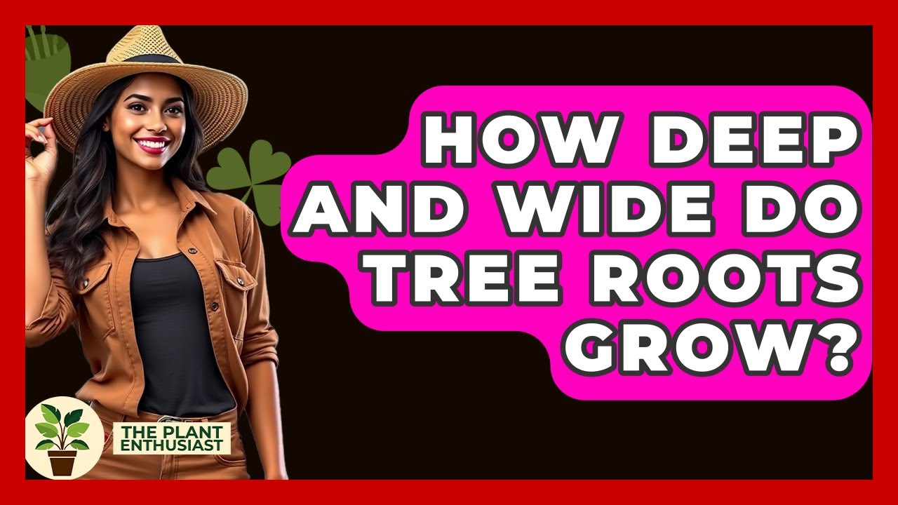 How Deep And Wide Do Tree Roots Grow? - The Plant Enthusiast