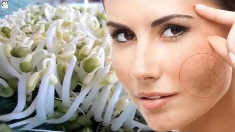 Tác dụng tuyệt vời của giá đỗ đối với sức khỏe mà bạn cần biết | Cuộc Sống Hạnh Phúc