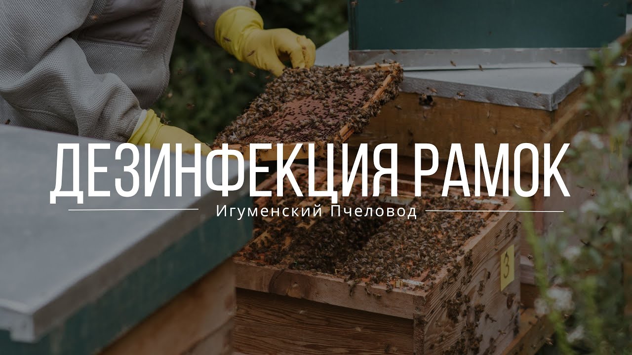 Дезинфекция рамок каустической содой - YouTube