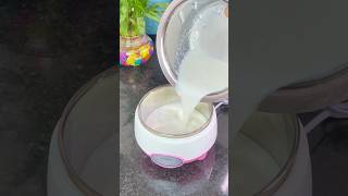 Yogurt Maker 😍 #shorts #flipkart #home #flipkarthaul #viral #flipkartfinds #new