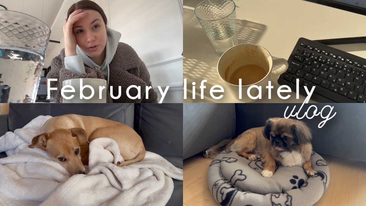February life lately vlog 🐾☕️🛍️
