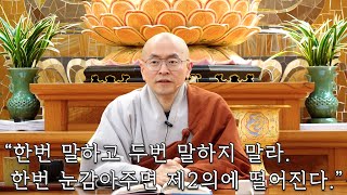 [대혜어록 26] 조용한 기틀에 떨어지지 않는 법 #불교 #부처님 #대혜종고 #선불교