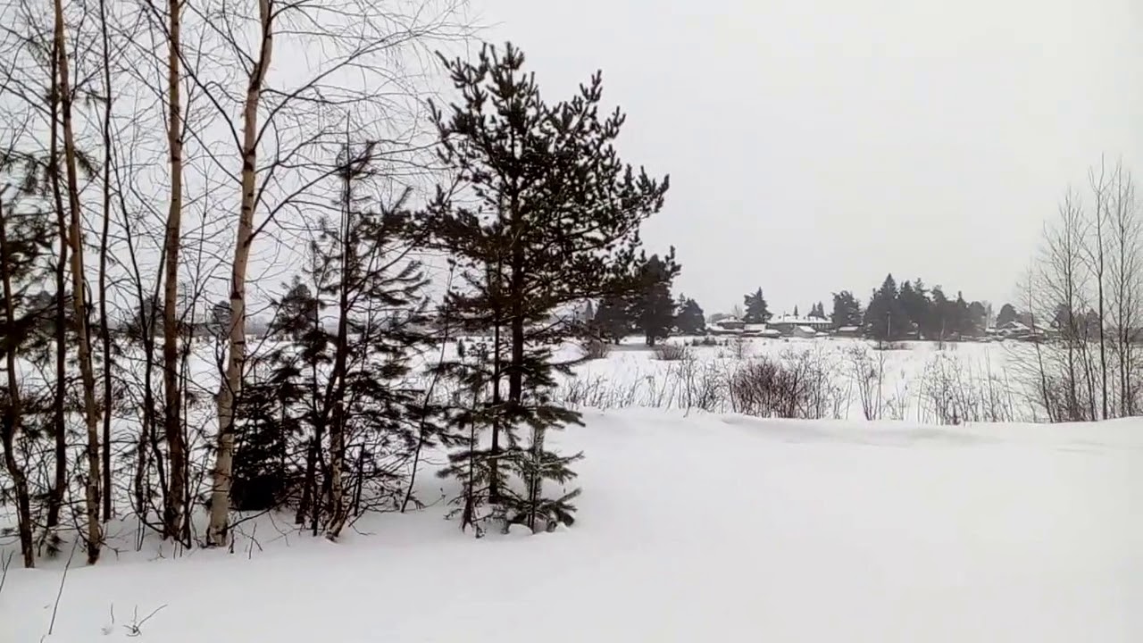 Трехозерка сыктывкар карта