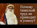 Садгуру - Почему тяжелый труд не приводит к успеху