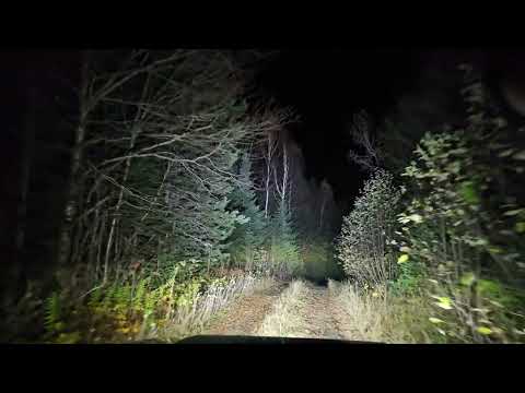 Closed Bridge Vlog Nature Watching At Night