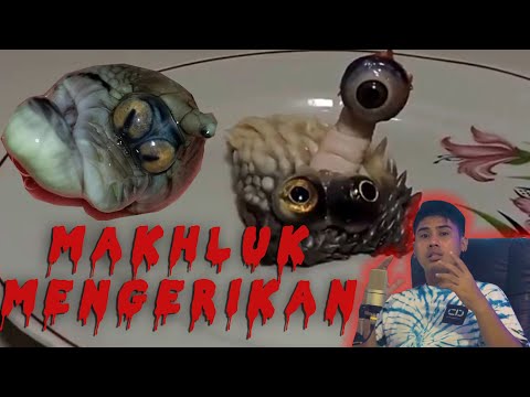 Video: Remaja Berubah Menjadi Makhluk Pelik