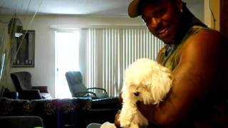 Picture 739.avi maxiveli