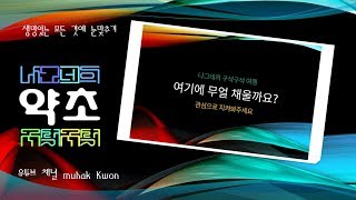 샅샅이 찾아낸 신장암에 좋은 약용식물 3