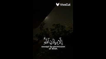 القرآن الكريم |مَا أَصَابَ مِن مُّصِيبَةٍ إِلَّا بِإِذْنِ اللَّه|