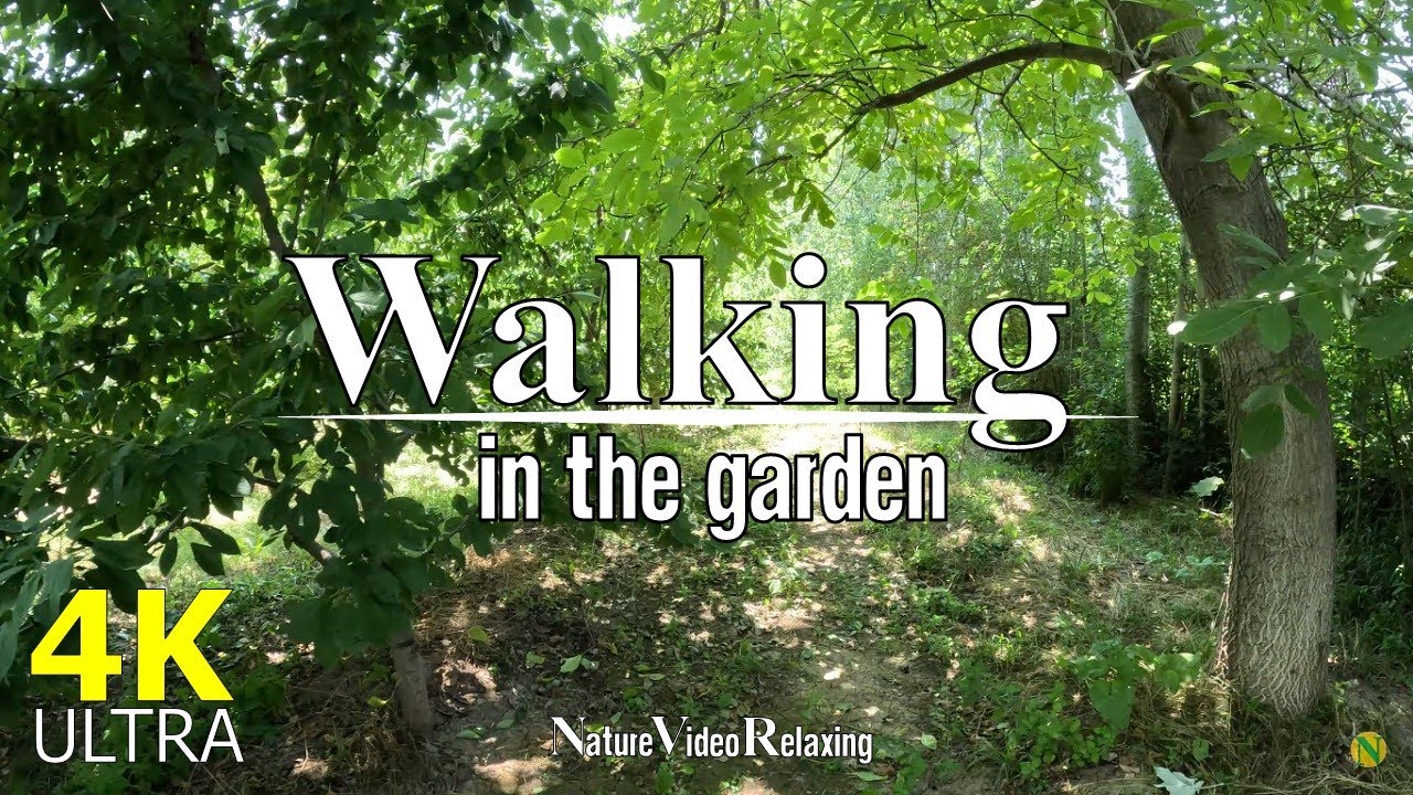 4K Love the beautiful Viral cherries garden [2023]