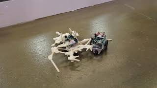 Boe Bot Dance