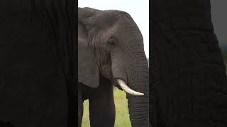 Transformative adventure awaits you with Tanzania Adventure Tours!