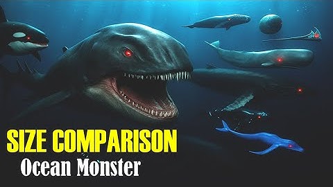 Space Bloop vs Space Whale vs Monster Whale 3D | The Scariest Size Comparison Ever