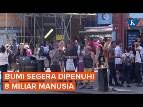 Video: Berapa populasi dunia?