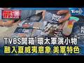 TVBS開箱「環太軍演小物」 融入夏威夷意象.美軍特色｜TVBS新聞