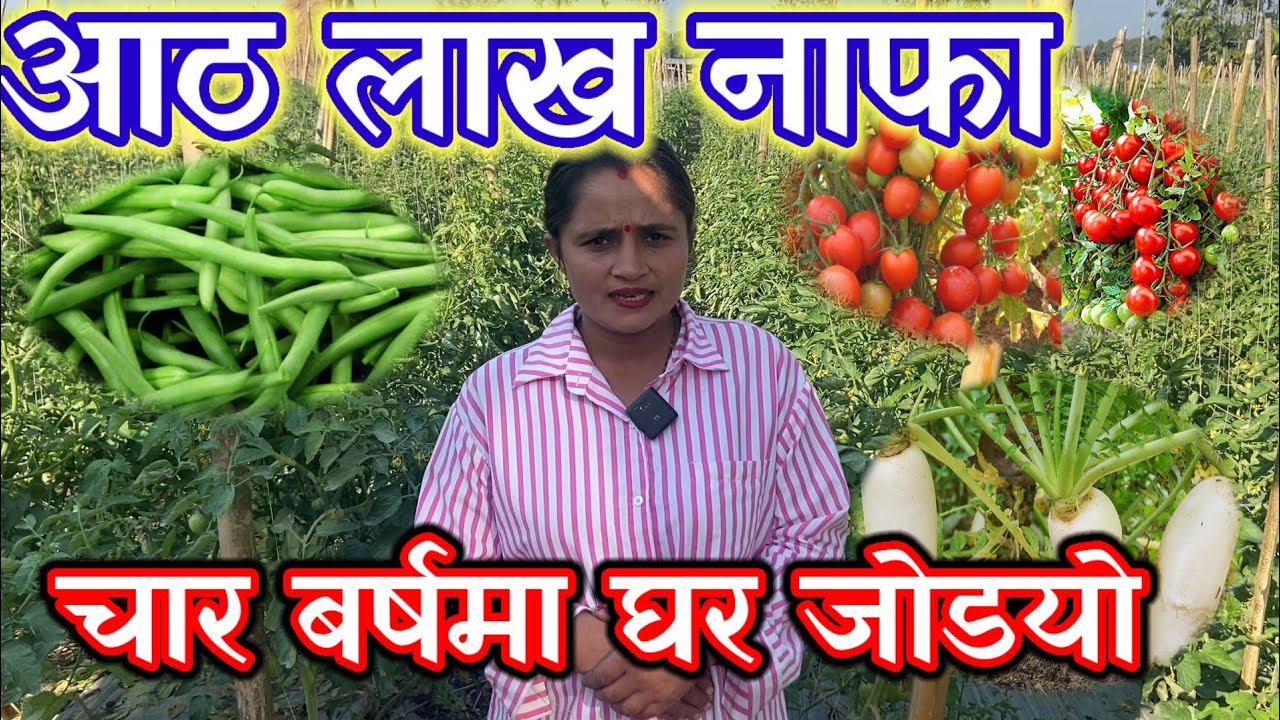 बार्षिकि राम्रो आम्दानी  सब्जी खेती बाट हुन्छ!
