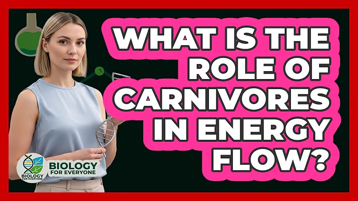 What is the role of carnivores in energy flow?