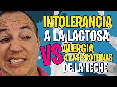 Diferencias entre alergia a las proteínas de la leche de vaca e intolerancia a la lactosa