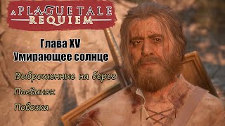 A Plague Tale Requiem Глава XV Умирающее солнце