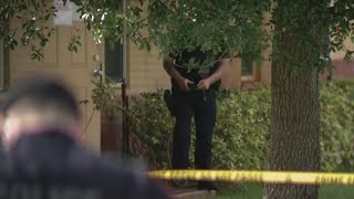 Lauderhill Officer Shoots Pit Bull To Stop Attack On Woman