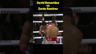 Benavidez vs. Zurdo Ramirez | Fight Highlights, HD