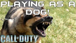 Playing as a dog! (Call of Duty 4 - Kill the king Mod)