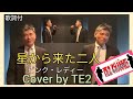 星から来た二人 ピンク・レディー Cover by TE2  再歌唱編