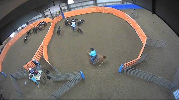 Big Sky Ranch Sorting Saddle Series #2 - #10 H/C - Round #1 - Ride #18