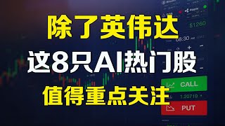 美股 除了英伟达，这8只AI热门股亦值得重点关注 PLTR GOOG ORCL ADBE TSLA.....