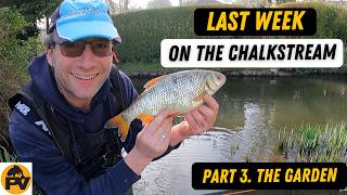 How to Catch Big Roach on a Chalkstream | End of Season Fishing Success
