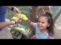 A Montage of Gardening with Children