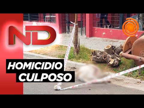 Exclusivo: habló el dueño de los dogos asesinos