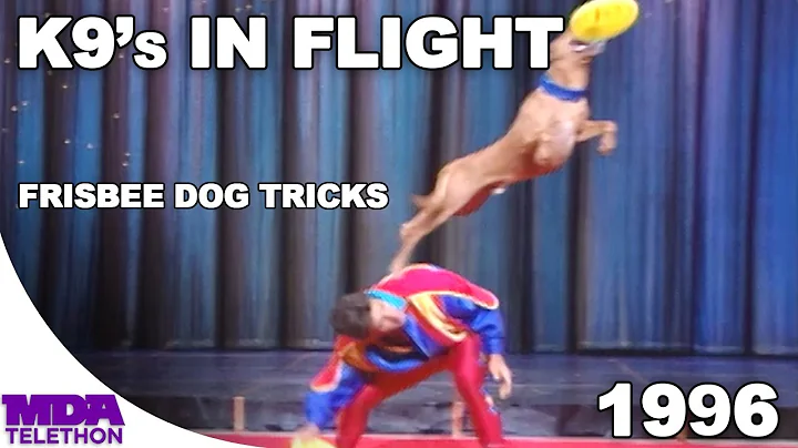 K9's In Flight - Frisbee Dog Tricks (1996) - MDA T...